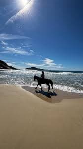 Cavalgada na praia | campo e litoral no mesmo gesto