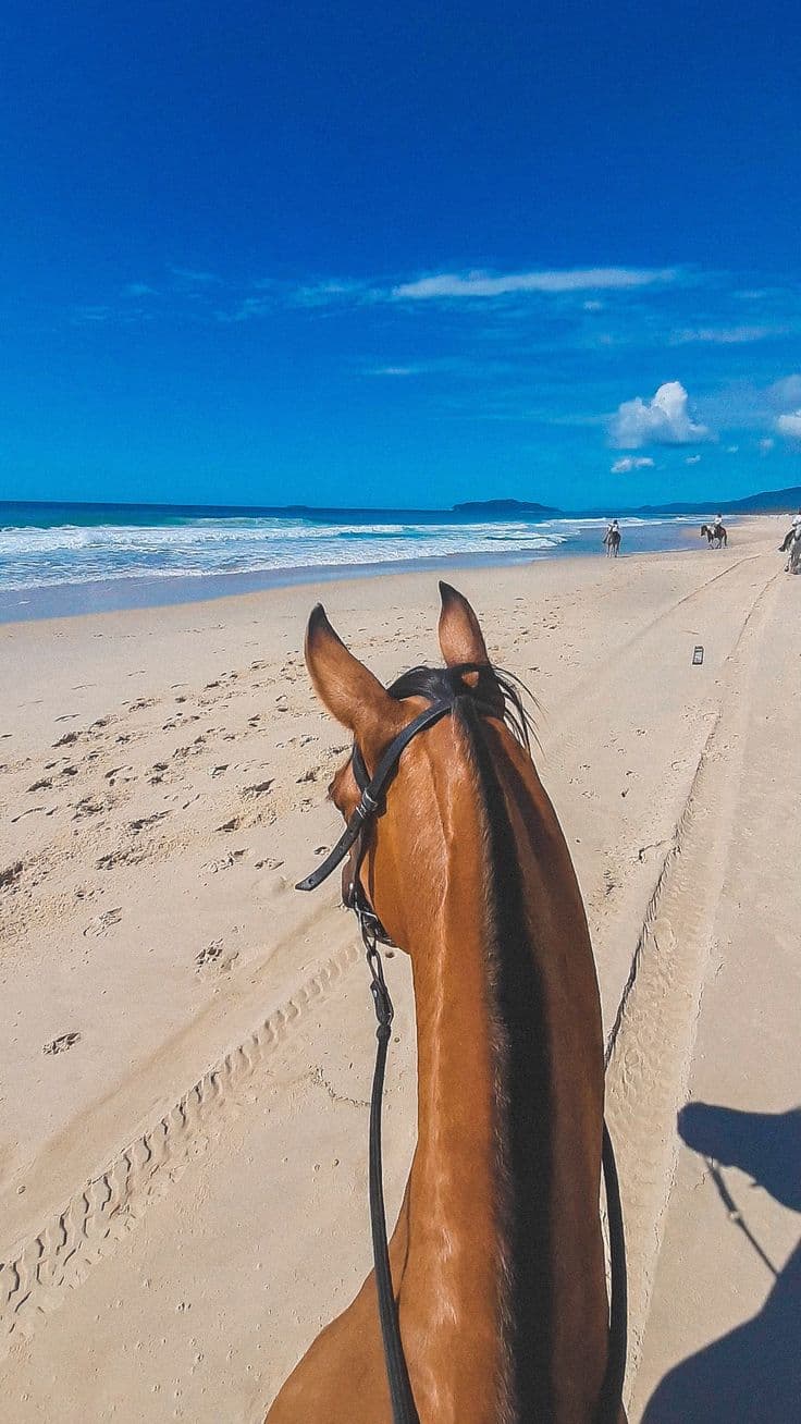 Cavalgada na praia | campo e litoral no mesmo gesto